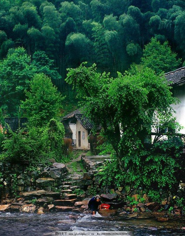 小猫钓鱼游戏龙王版有船