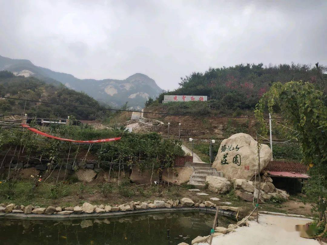 春雨直播app